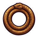 Coil