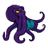 Adult Octopus