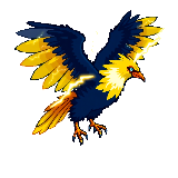 Adult Thunderbird