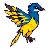 Juvenile Thunderbird