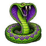 Adult Viper